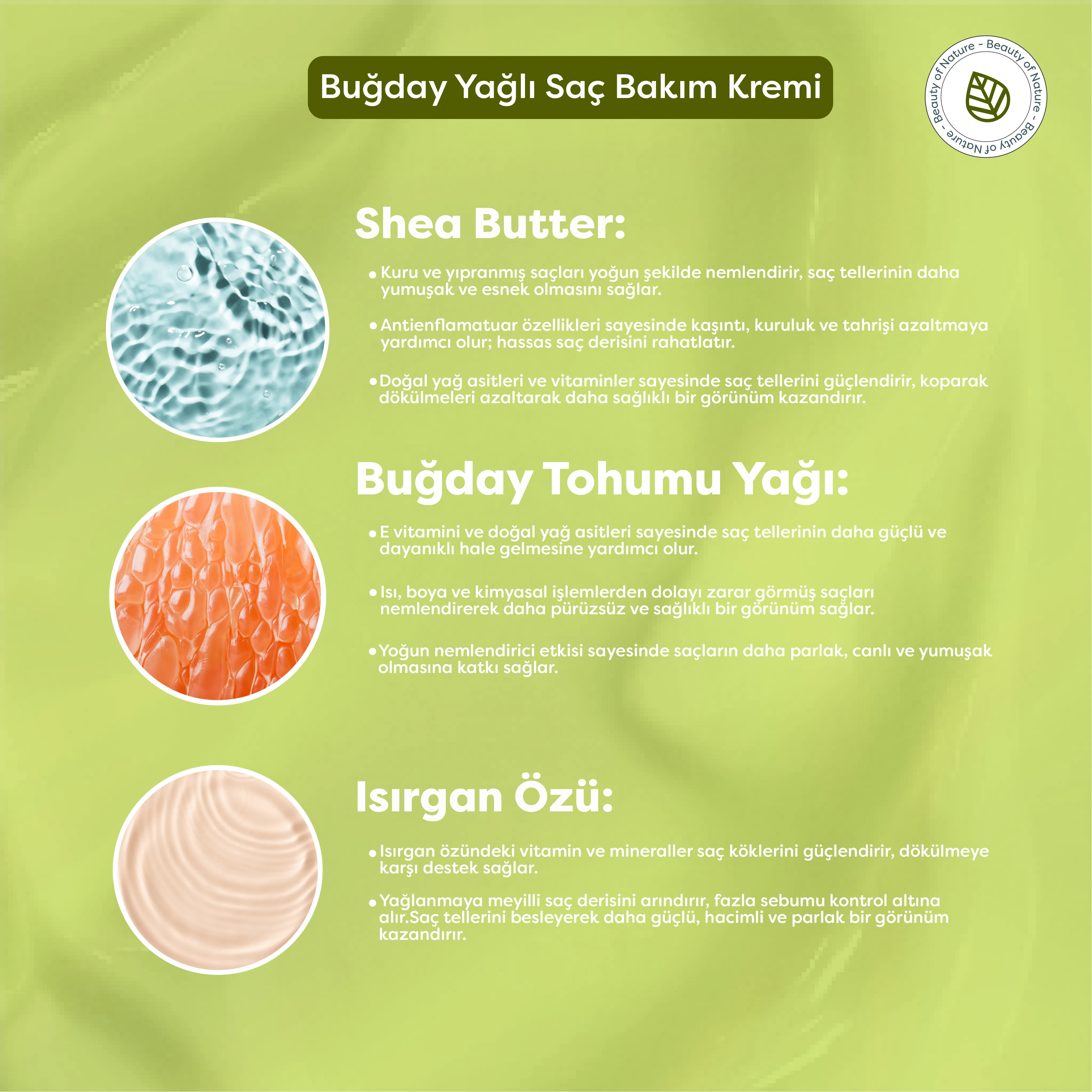 Buğday Yağlı Saç Bakım Kremi  -  Wheat Germ Oil