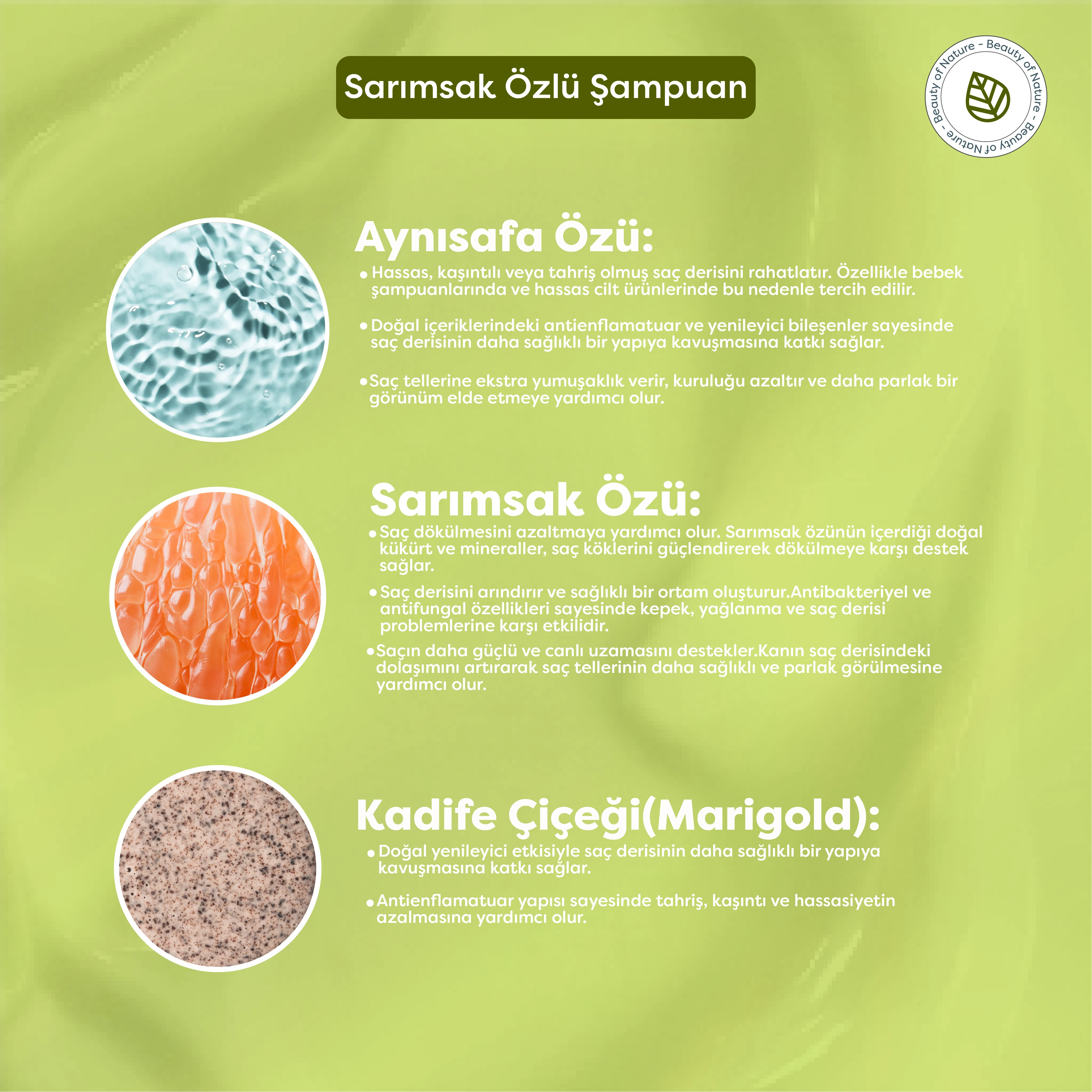 Sarımsak Özlü Şampuan - Garlic Ginseng Shampoo