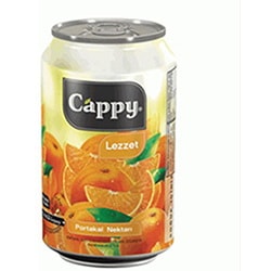 Cappy Portakal Kutu 330 ml 12'li