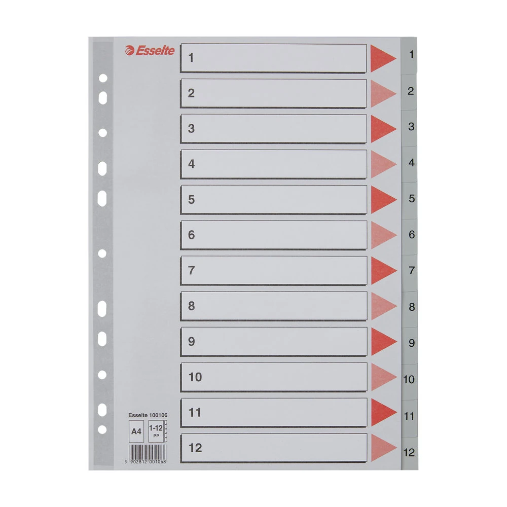 Esselte Seperatör A4 1-12 Rakam