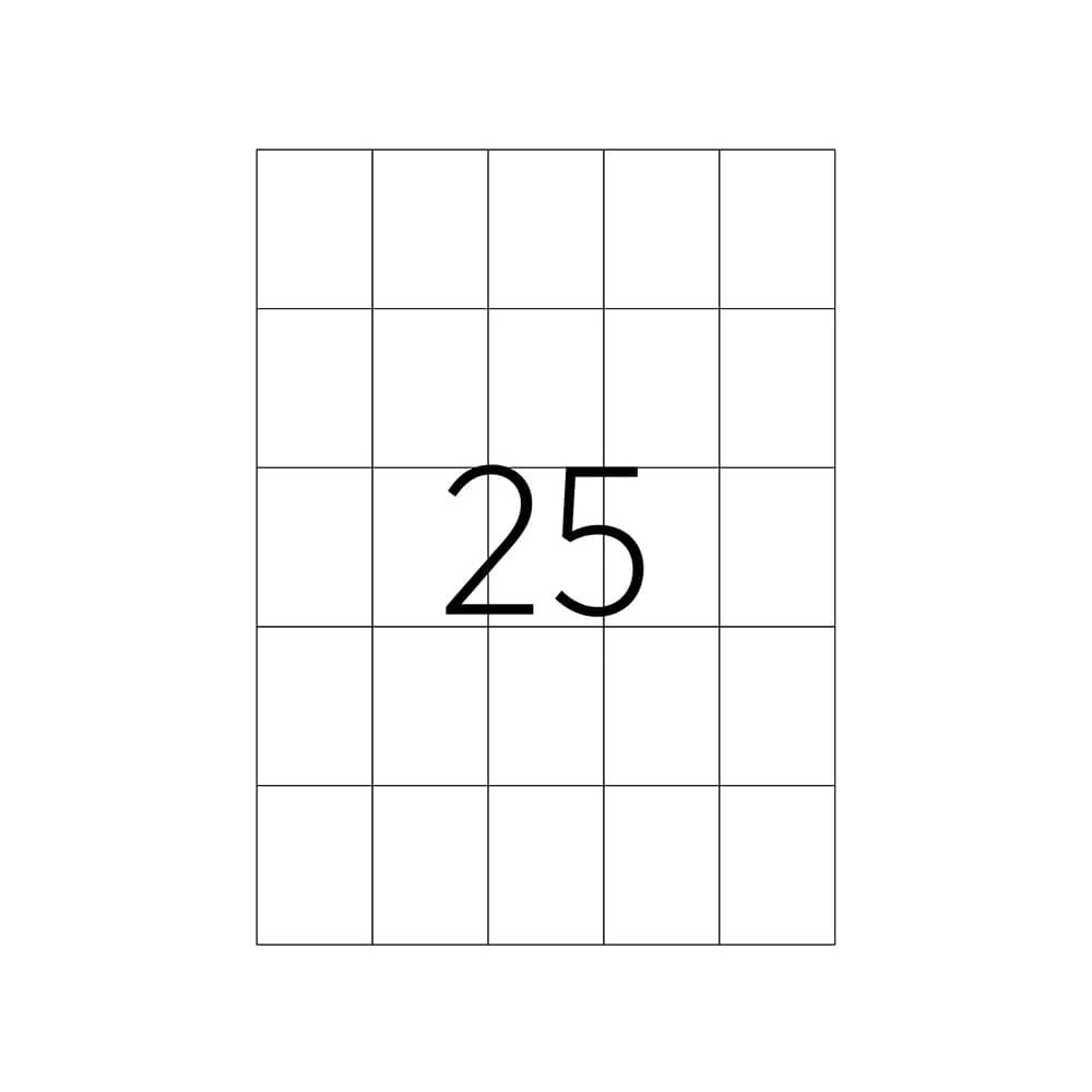 Tanex Laser Etiket 42x59,69 mm TW-2059