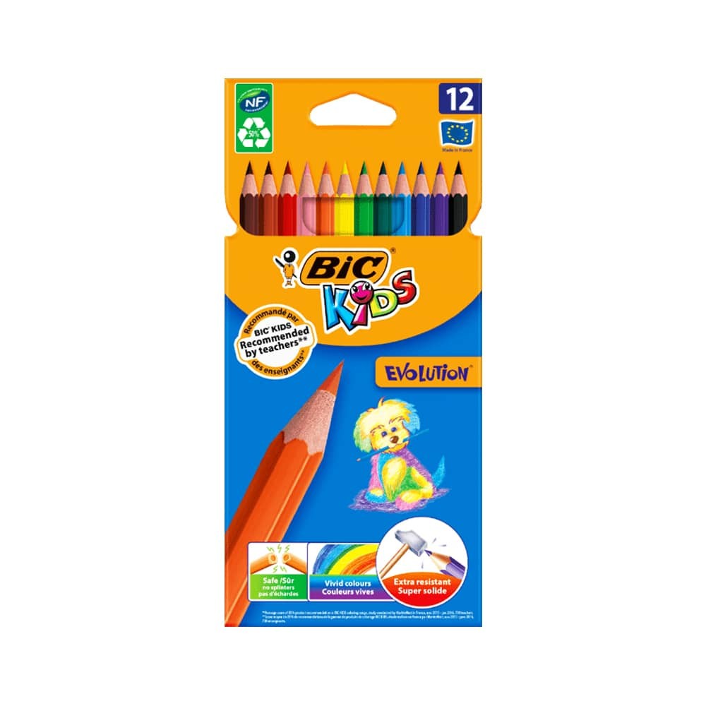 Bic Evolution Kuru Boya 12'li