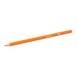 Bic Tropicolors 2 Kuru Boya Tam Boy 12'li