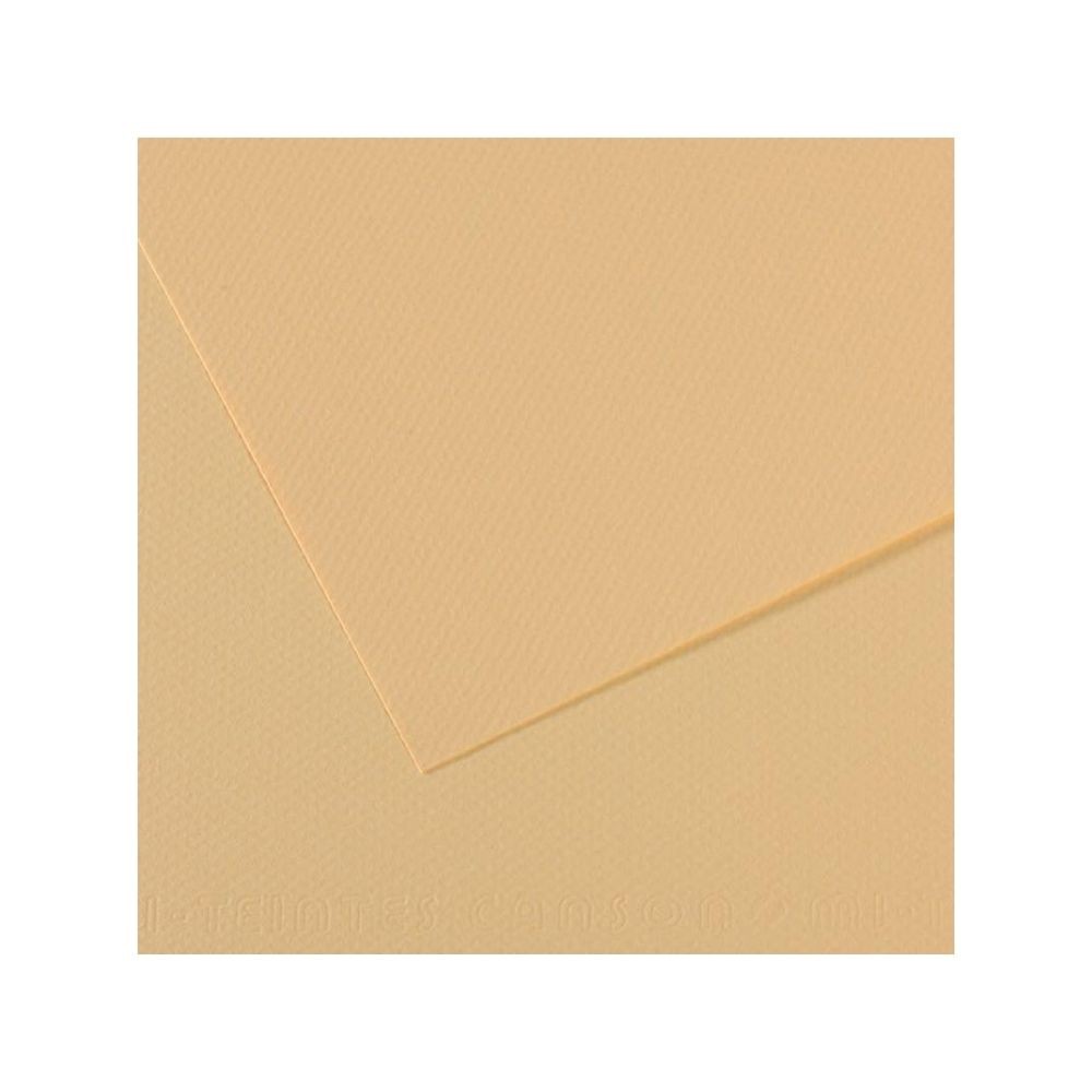 Canson Fon Kartonu 160 gr 50x65 K.407-Lichen