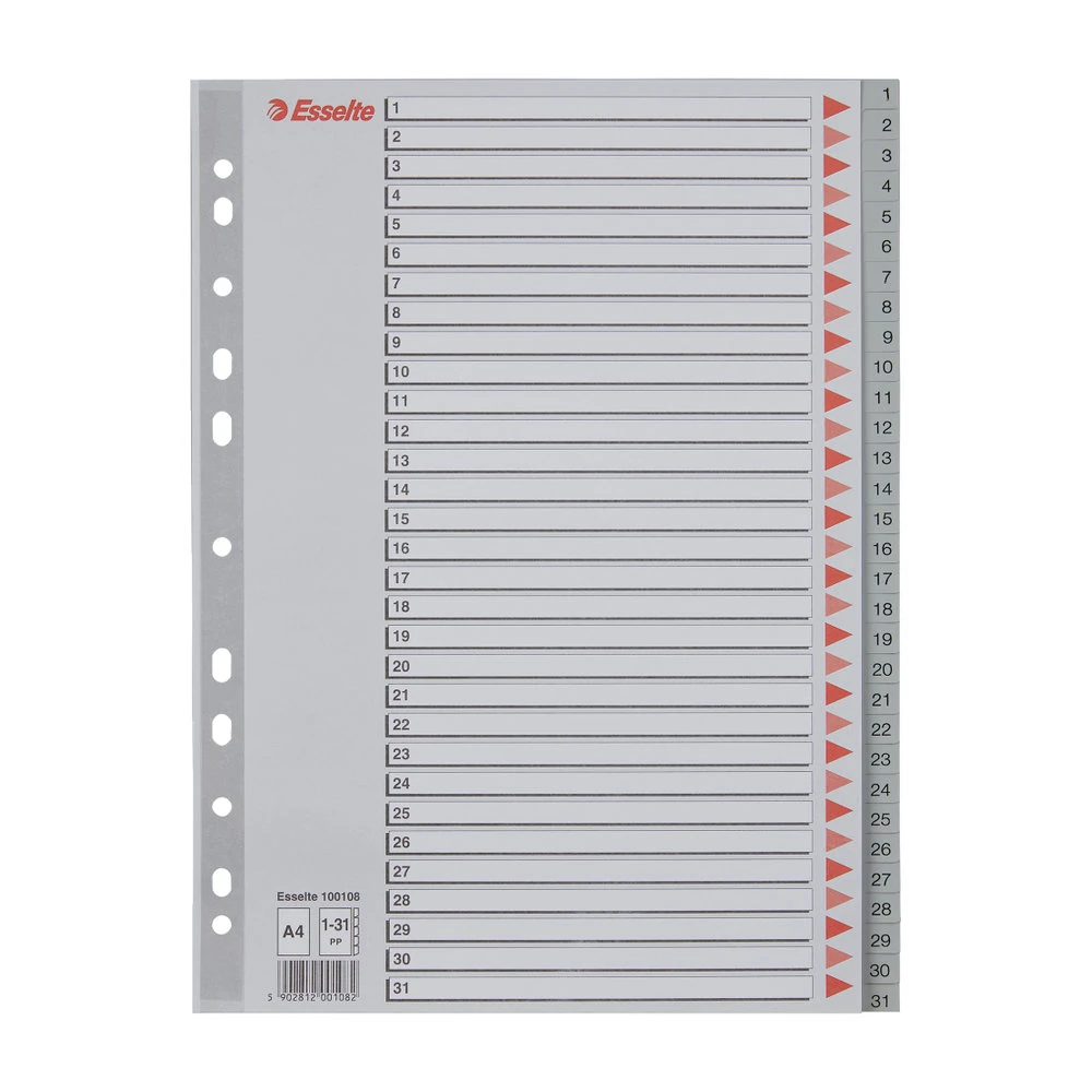 Esselte Seperatör A4 1-31 Rakam