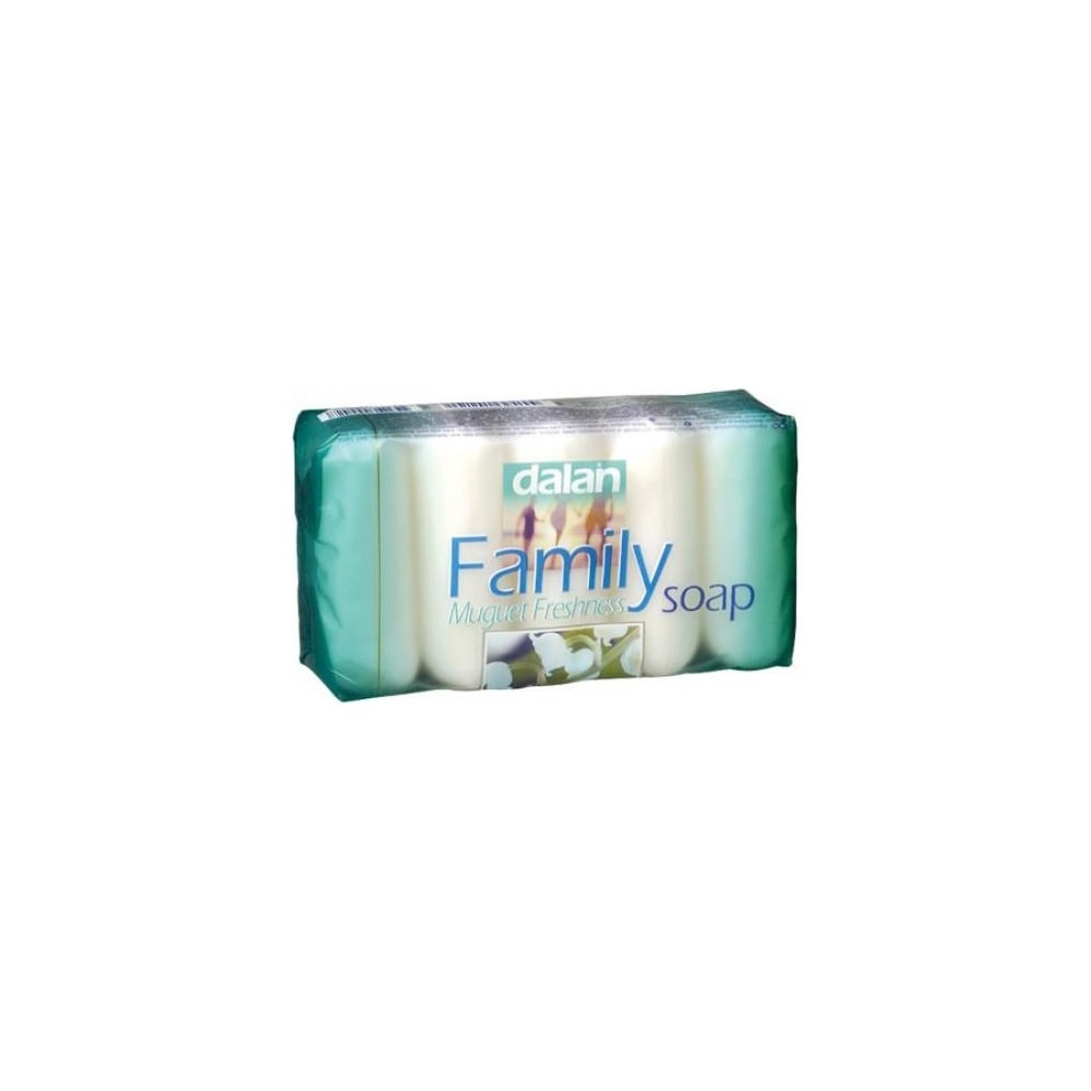Dalan Family Kalıp Sabun 5x75 gr 24 Paket