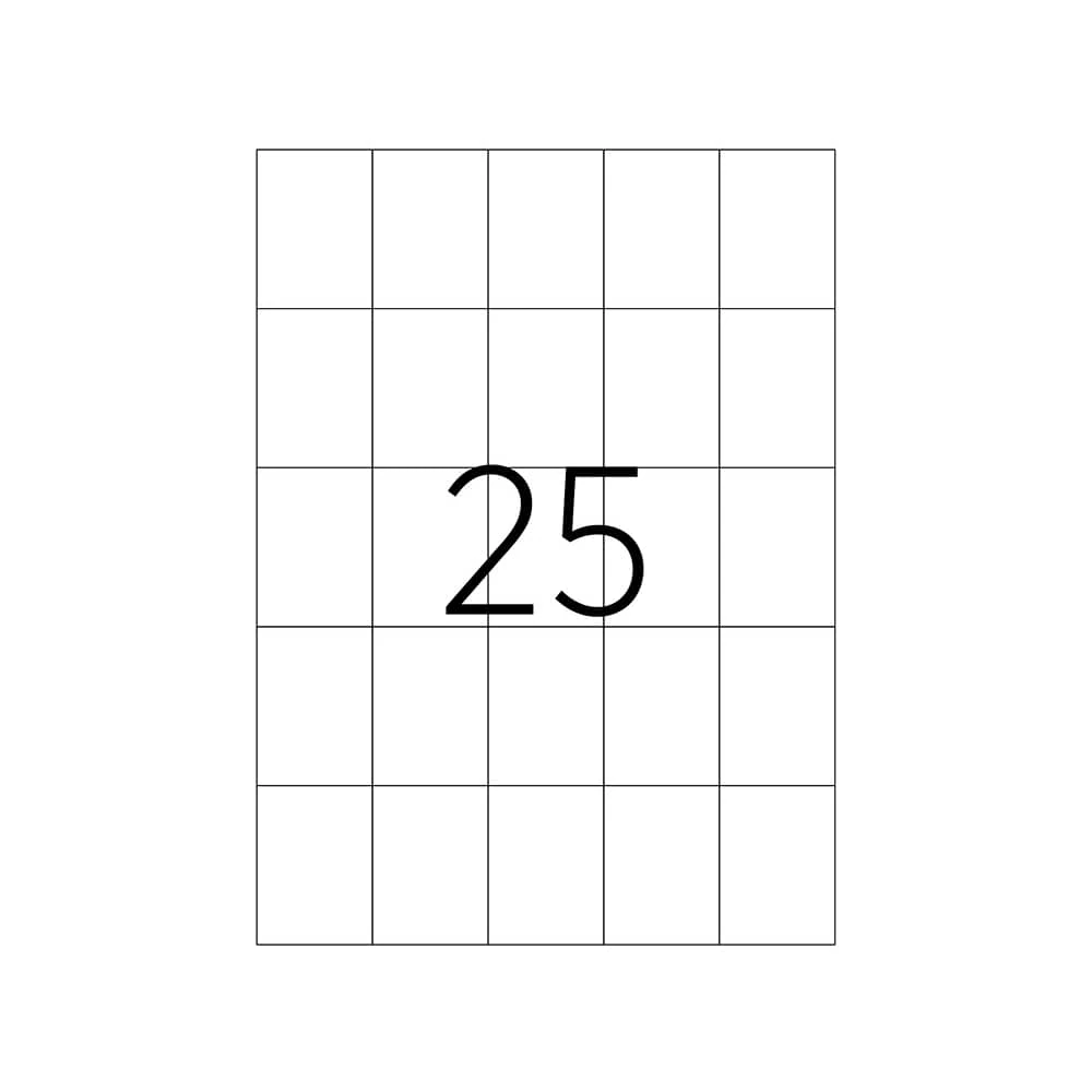 Tanex Laser Etiket 42x59,69 mm TW-2059