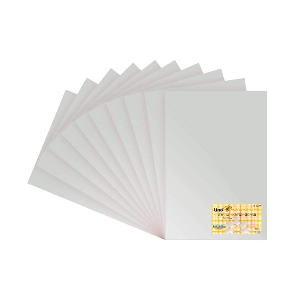 Lino Aynalı Karton Gümüş 10'lu 50x70 cm
