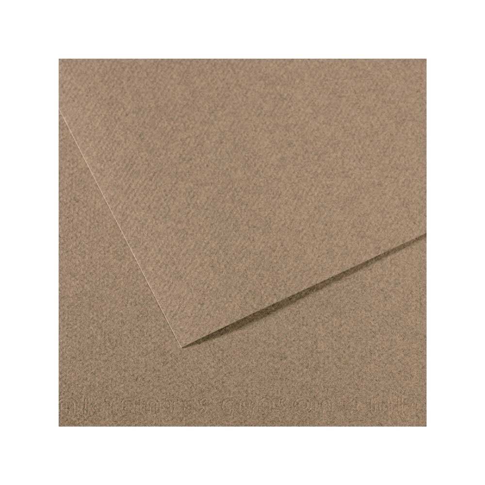 Canson Fon Kartonu 160 gr 50x65 S.Grey