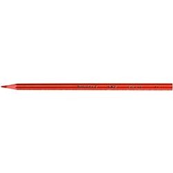 Bic Tropicolors 2 Kuru Boya Tam Boy 12'li
