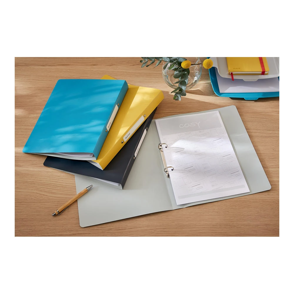 Leitz Cosy 2 Halkalı Klasör Gri