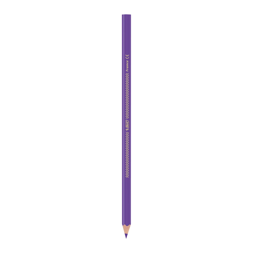 Bic Color Up Kuru Boya 24'lü 9641481