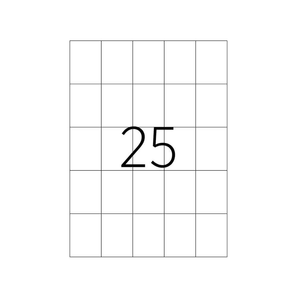 Tanex Laser Etiket 42x59,69 mm TW-2059