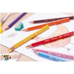 Bic Evolution Kuru Boya Üçgen Jumbo12'li