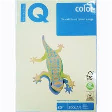 IQ Fotokopi Kağıdı A4 80 gr 500'lü Krem