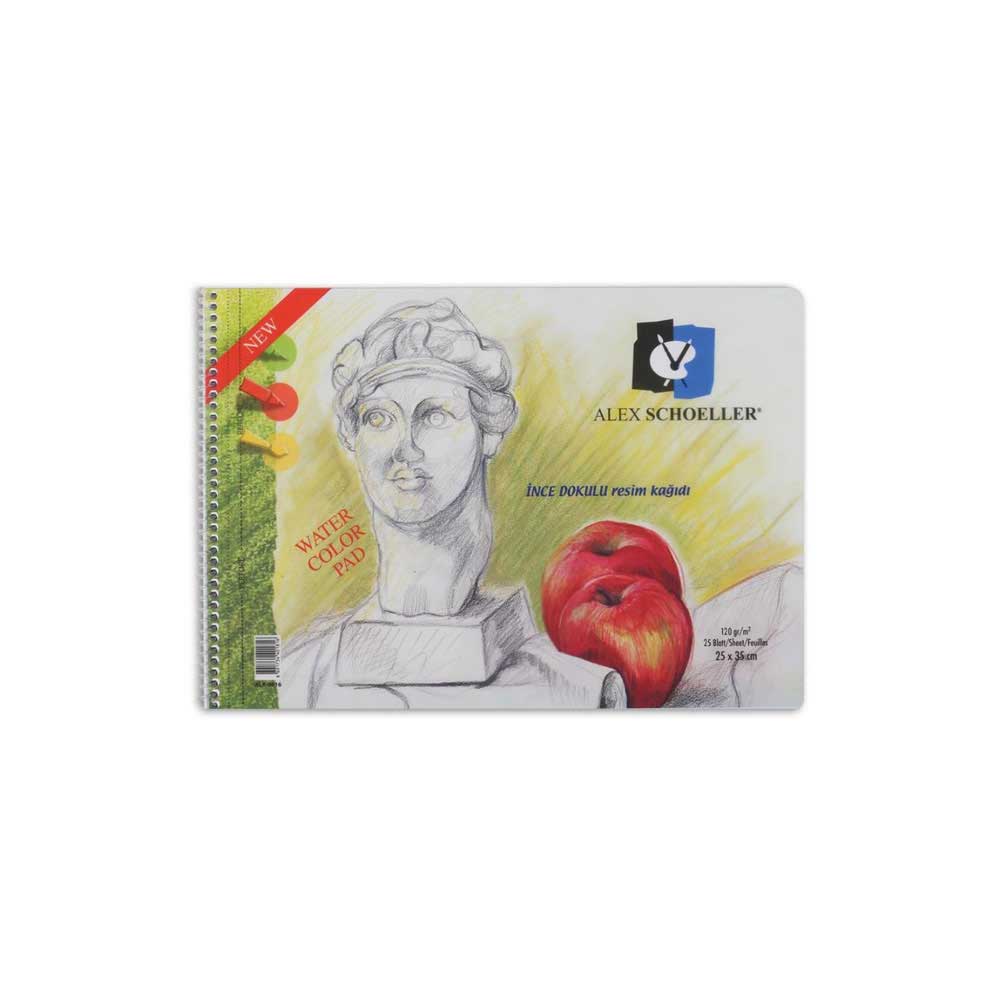 Alex Schoeller Spiralli Şeffaf Kapak Resim Defteri 25x35 cm 25 Yaprak