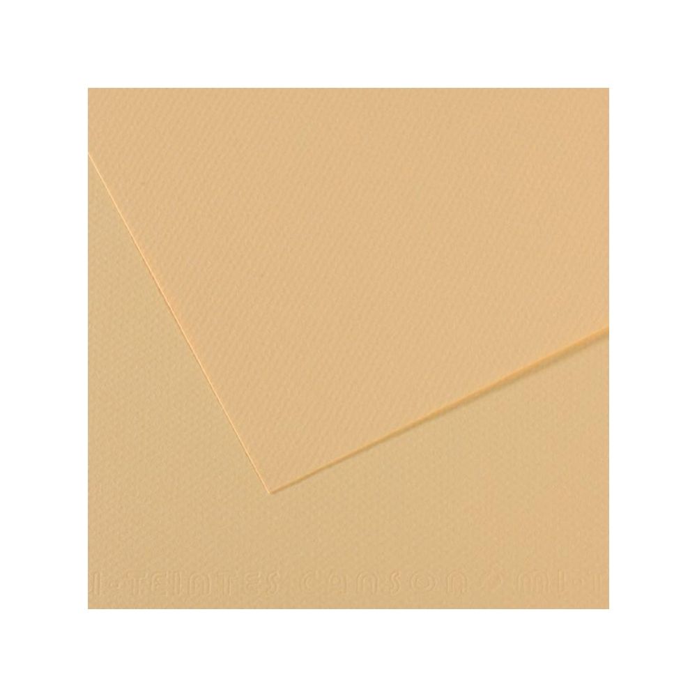 Canson Fon Kartonu 160 gr 50x65 K.407-Lichen