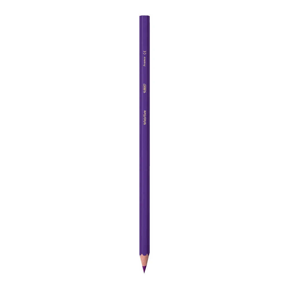 Bic Evolution Kuru Boya Kalemi Metal Tüp 24+1
