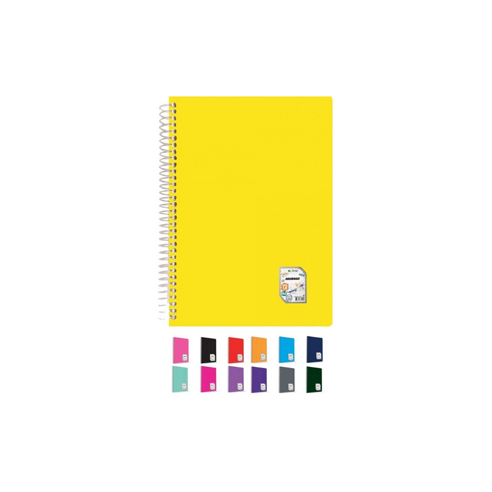 Çınar Defter Okul Defteri Colormaxi Spiralli Pp Kapak A4 120 Yaprak Çizgili