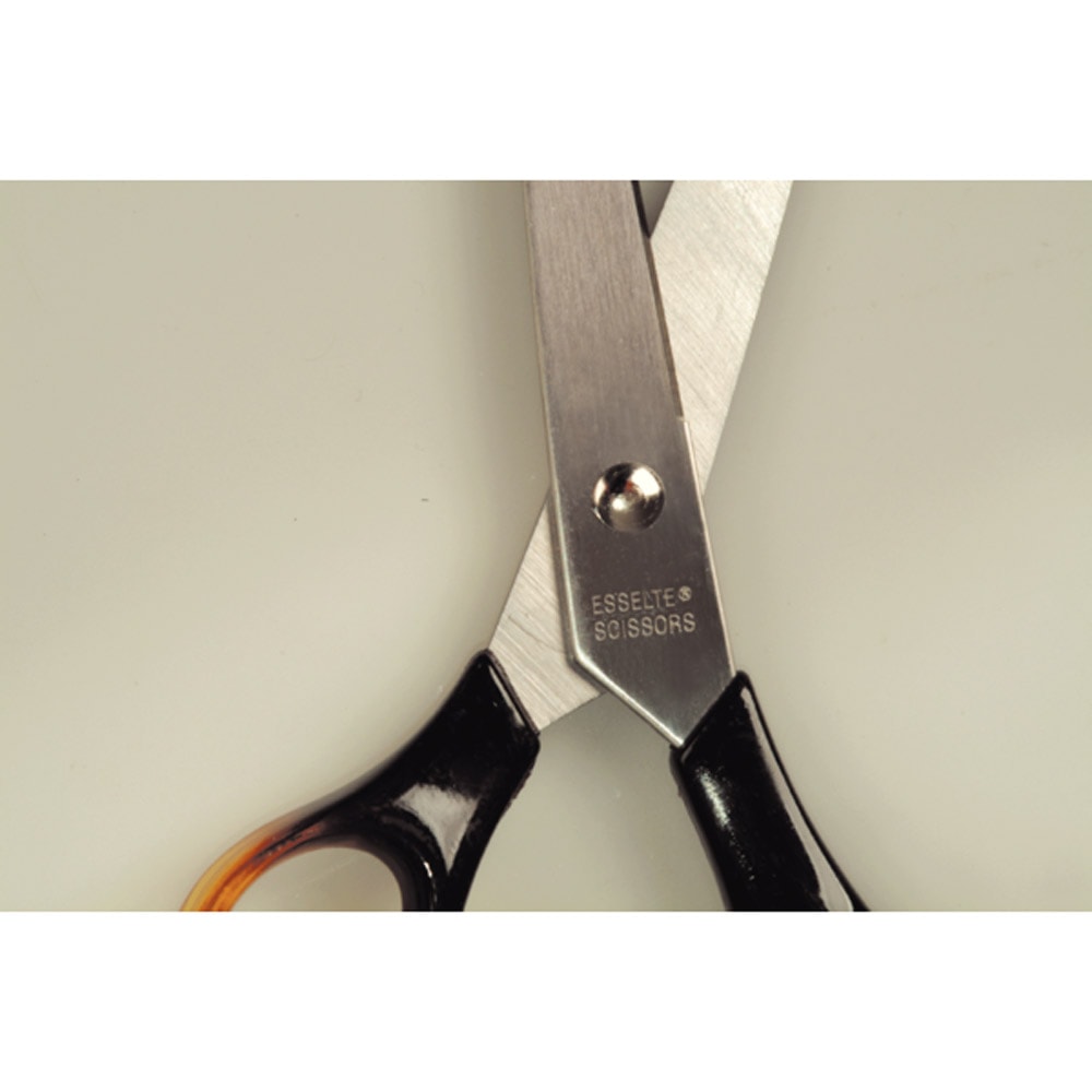 Esselte Makas 10" 25.4 cm