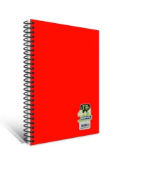 Gıpta Defter Tb Spiralli Seperatörlü Pp Kapak A4 200 Yaprak 4+1