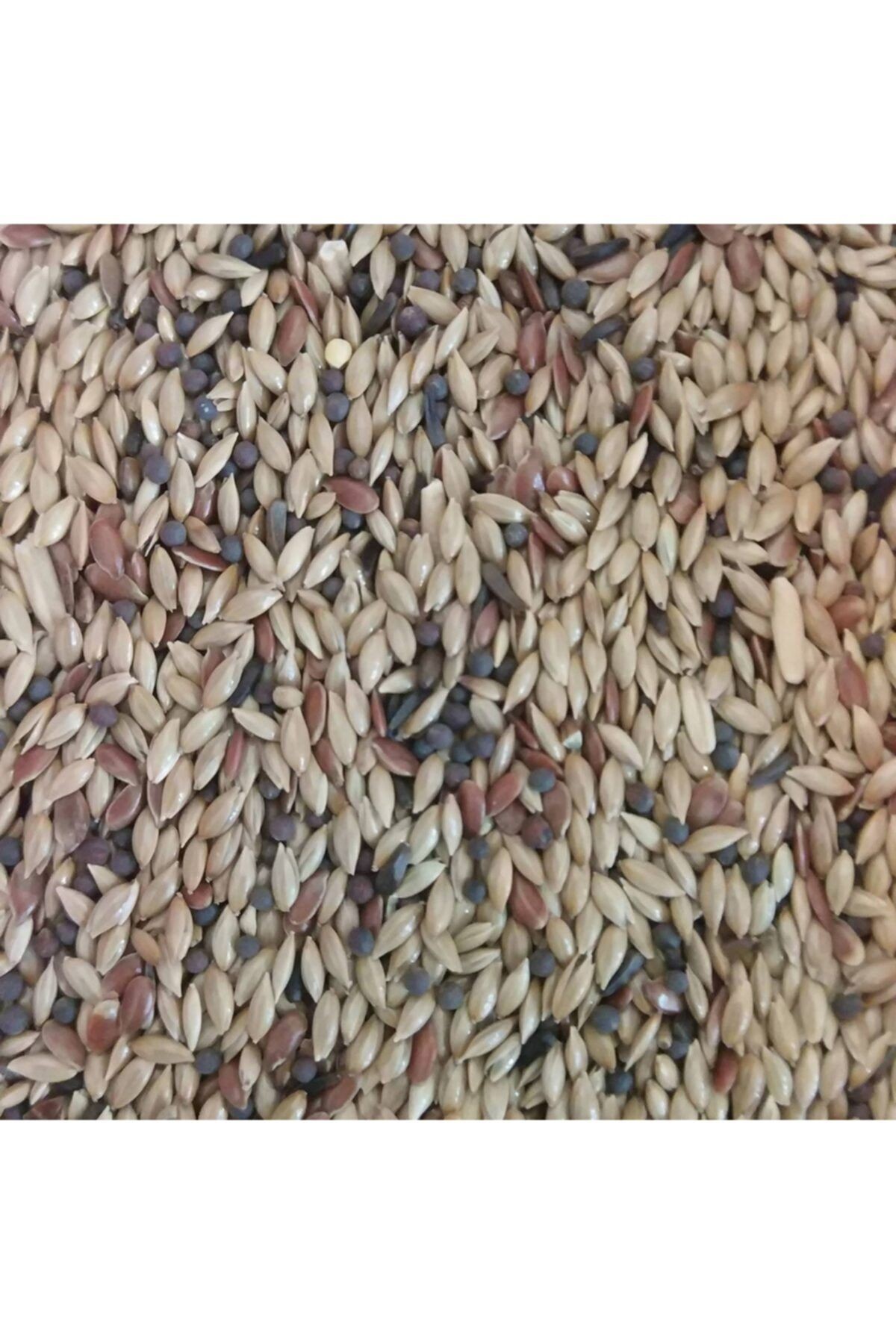 Kanarya Sade (ASPUR) 1 Kg