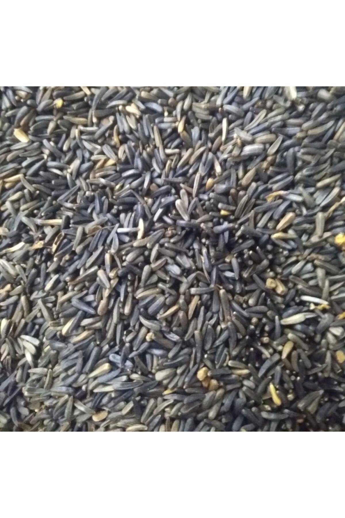 Nijer Tohumu 1000 G