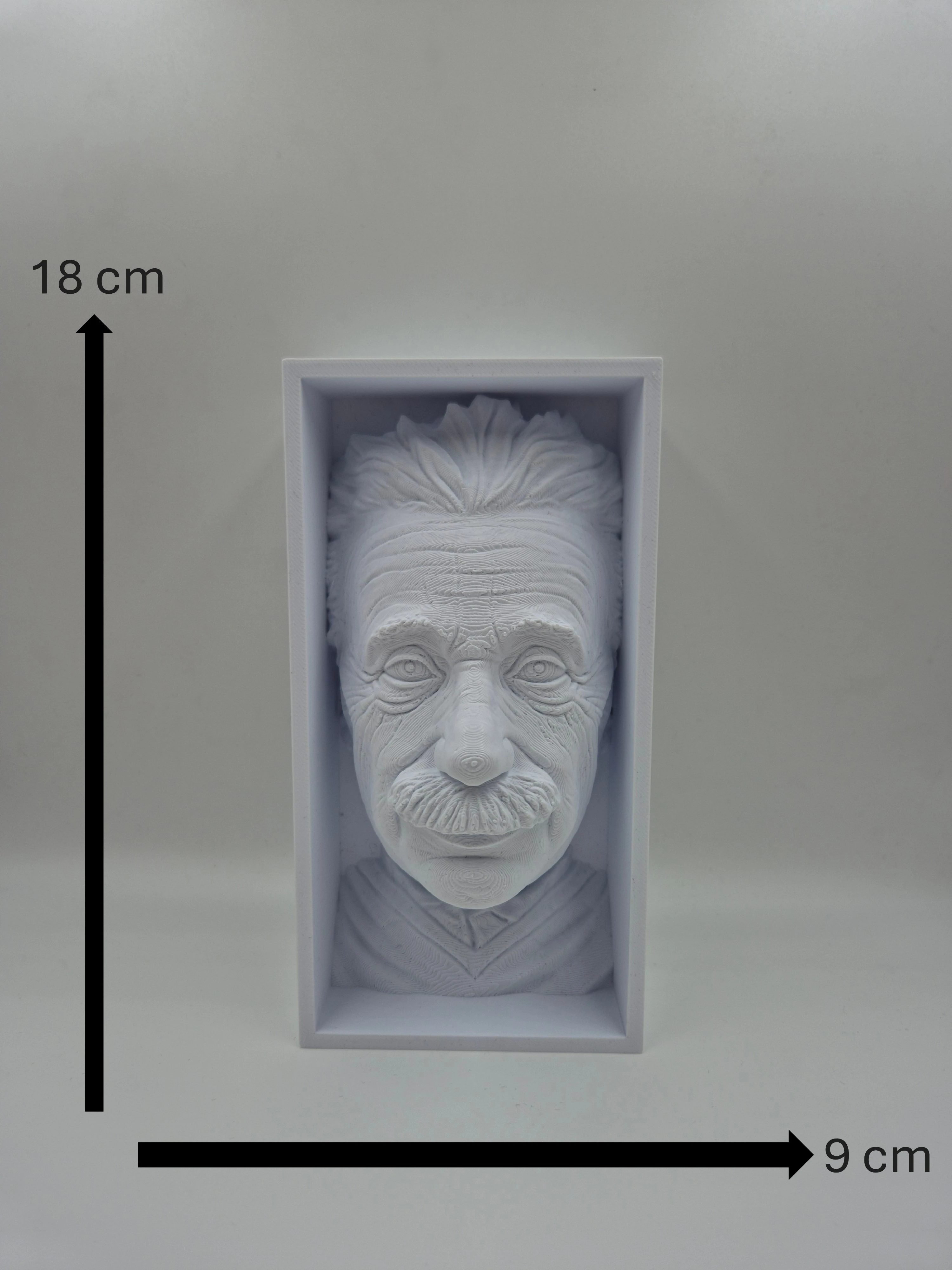 "Albert Einstein" Kitaplık