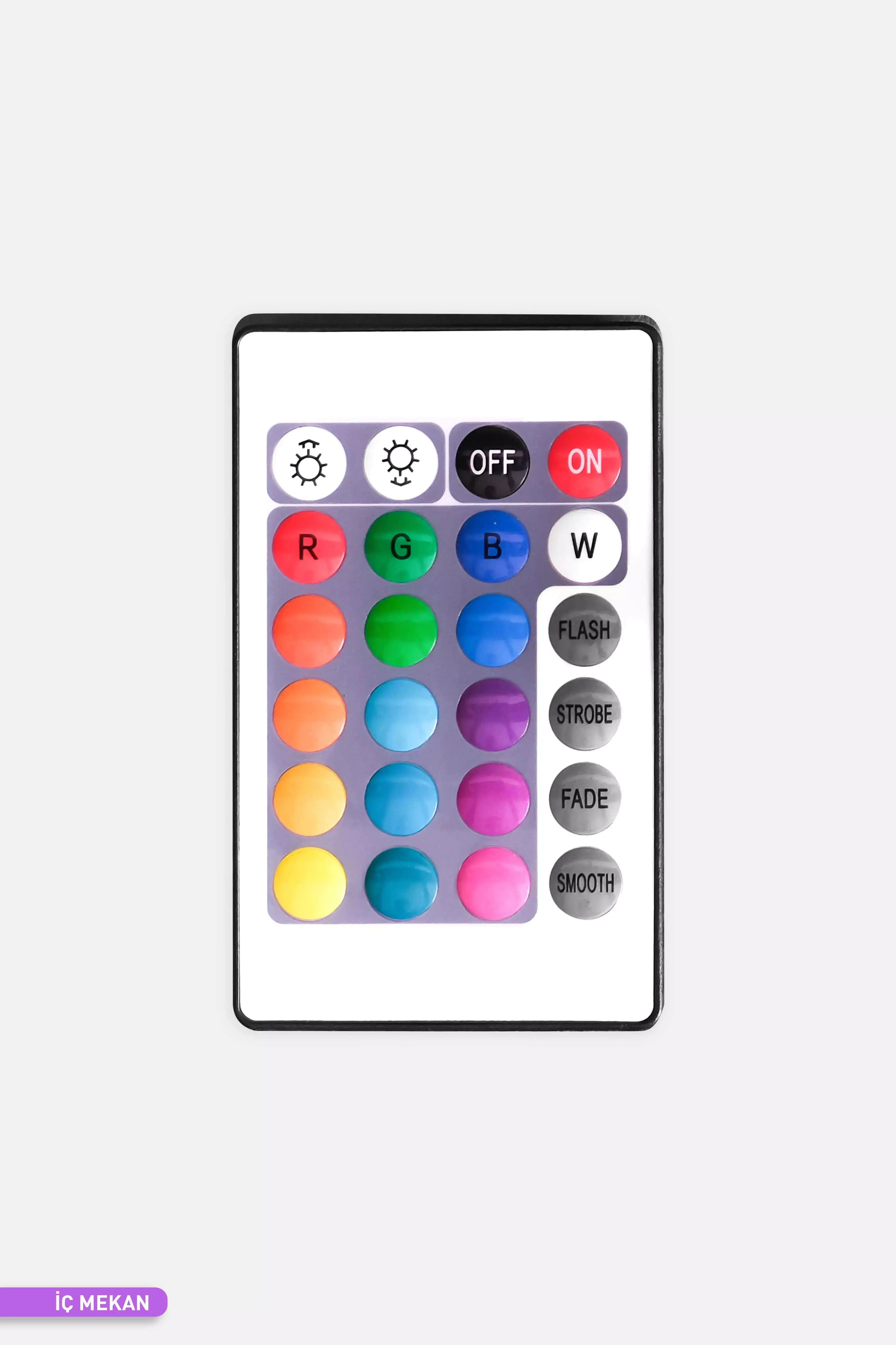 ACK Neon Hortum Kumandalı RGB Kontrol Modülü 220V AY30-01030