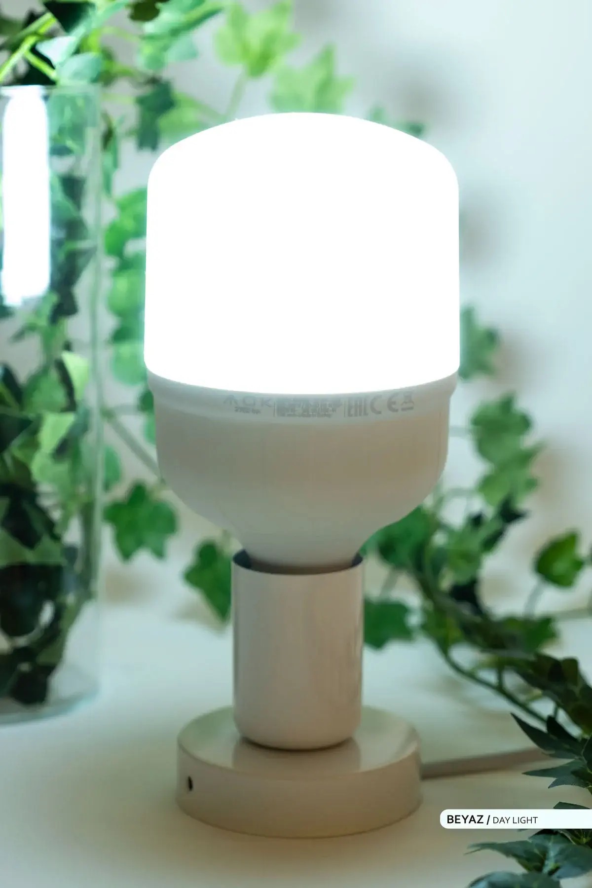 ACK LED T100 Ampul 6500K Beyaz Işık 220V 30W E27