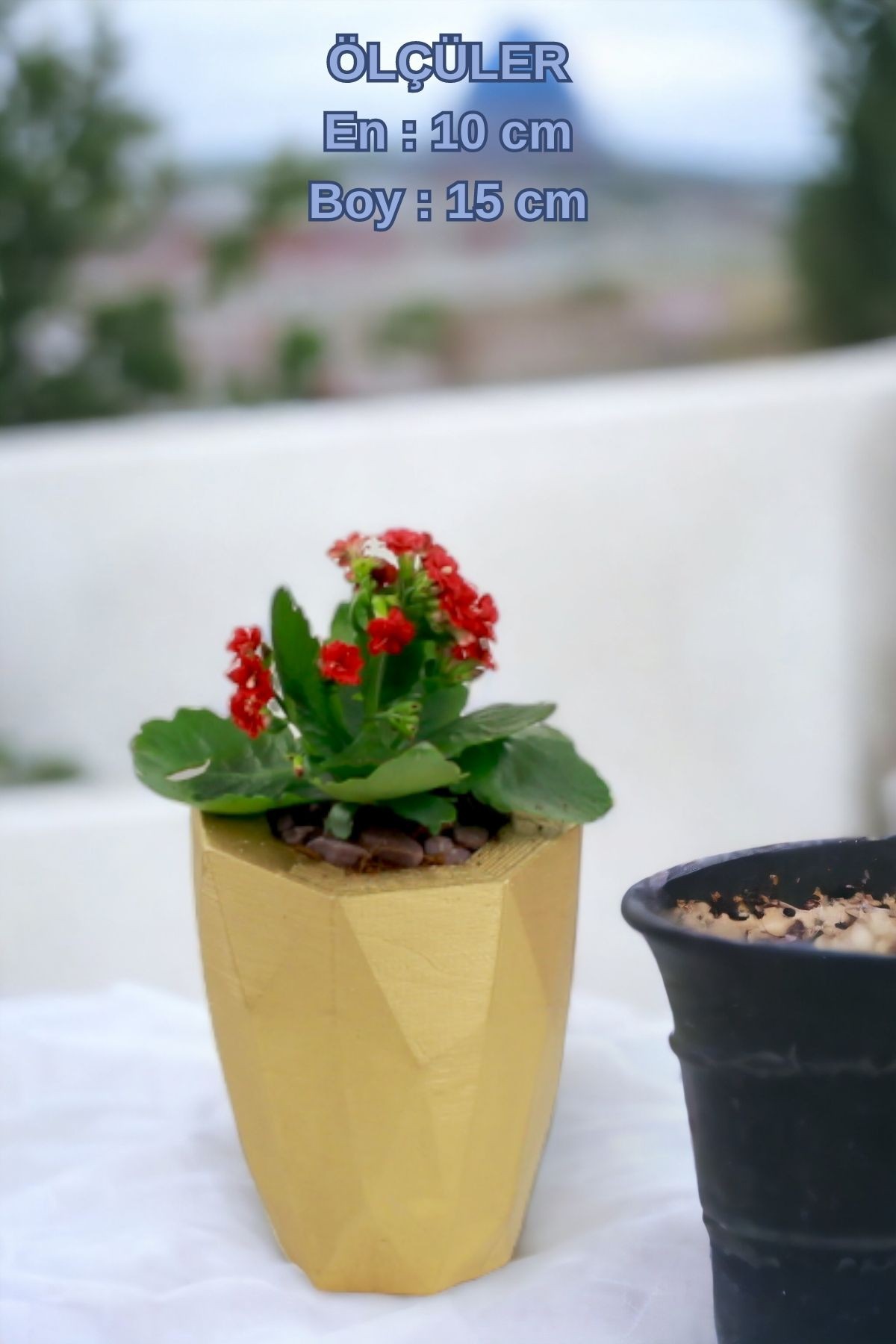 Altın thumbnail image