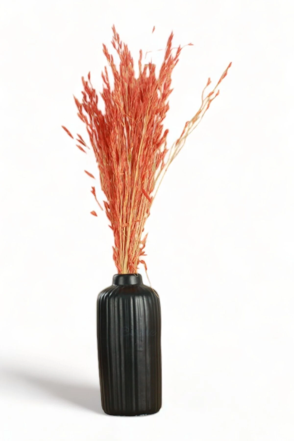 SİYAH thumbnail image