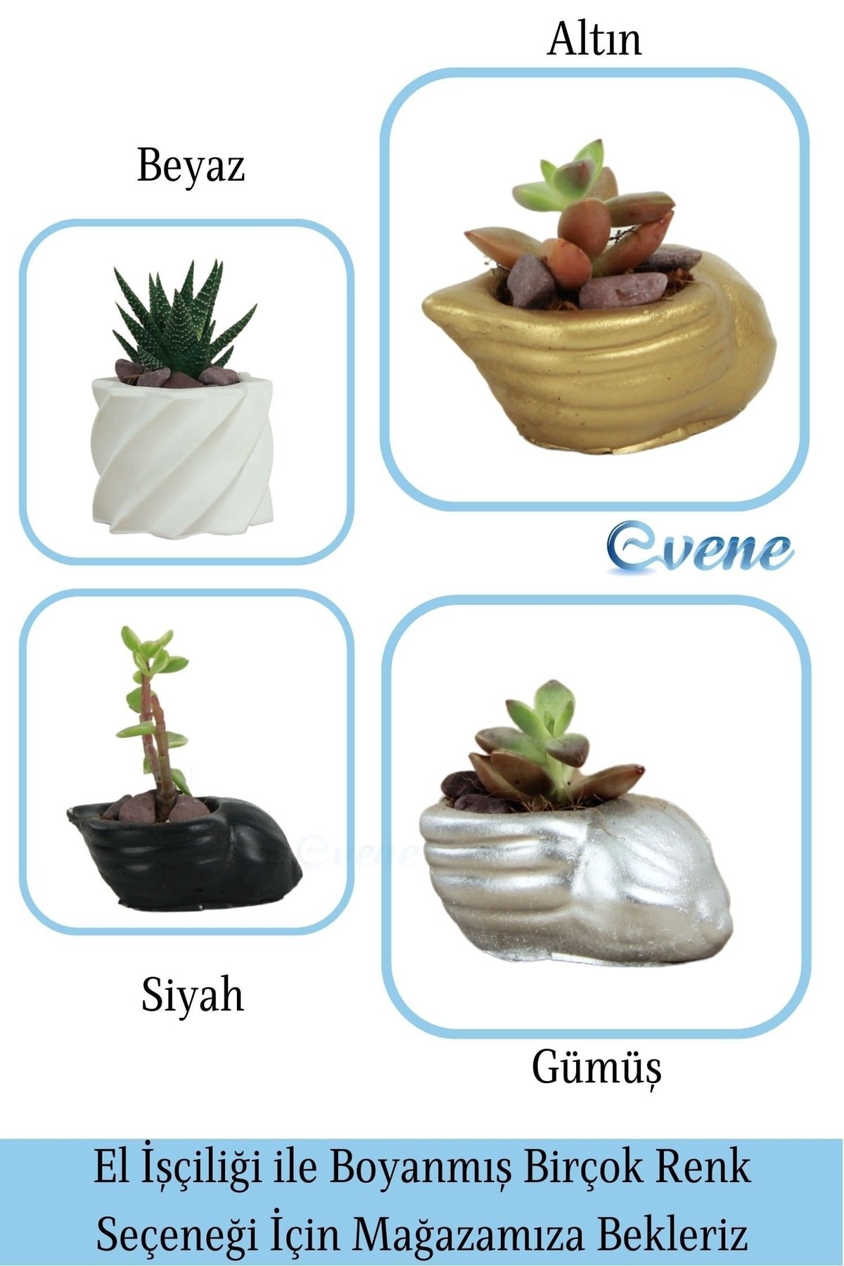Mini Çiçek Saksı Küçük Sukulent Siyah Kaktüs Saksısı Mini Deniz Salyangozu Model