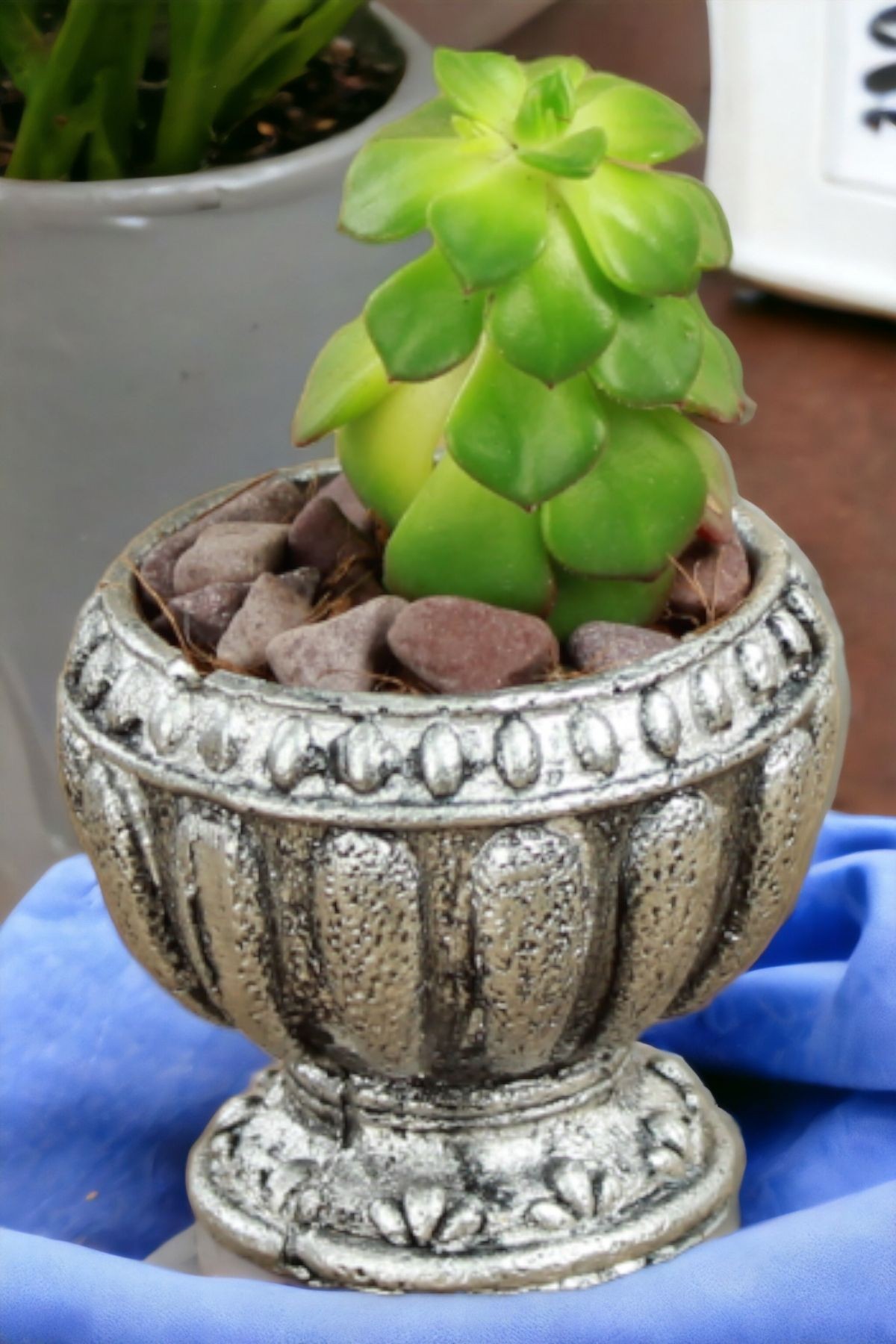GÜMÜŞ ESKİTME thumbnail image