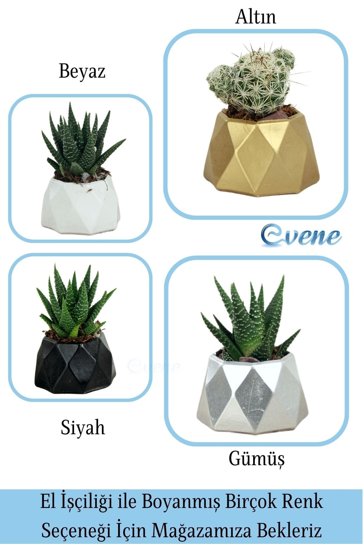 Mini Çiçek Saksı Küçük Sukulent Gümüş Kaktüs Saksısı Mini Poly 1 Model