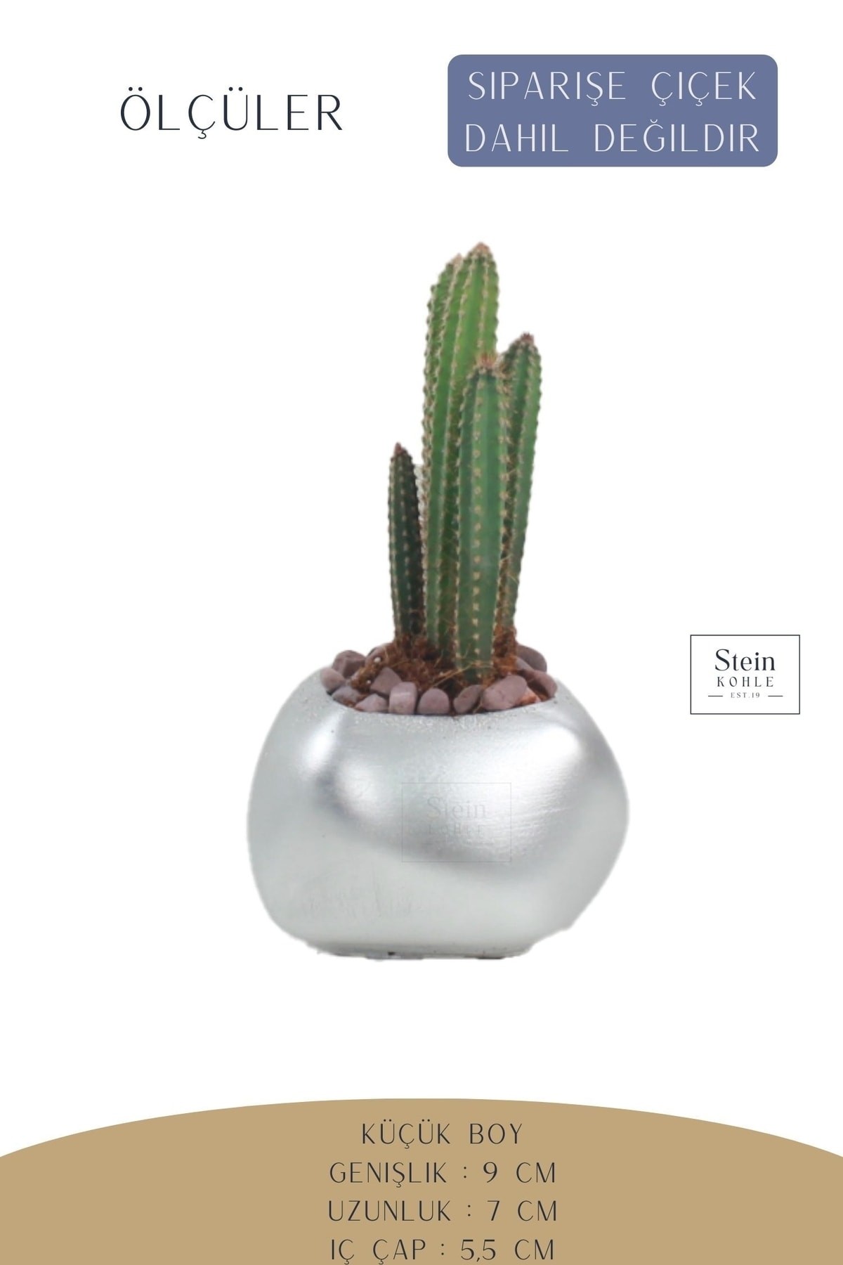 Gümüş thumbnail image