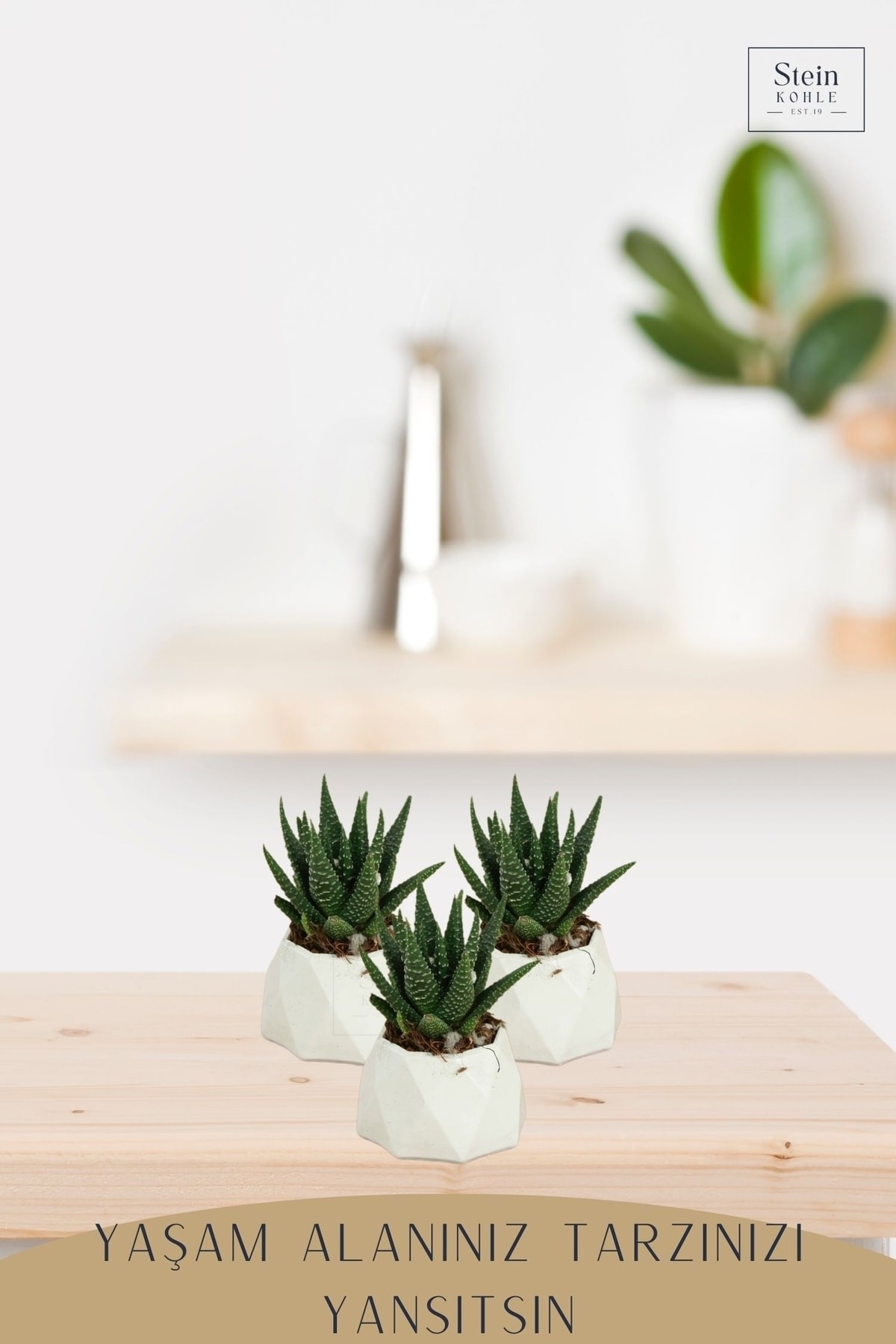 Dekoratif Saksı Minik Kaktüs Saksısı Beyaz Renk 1 Adet Mini Poly 1 Model