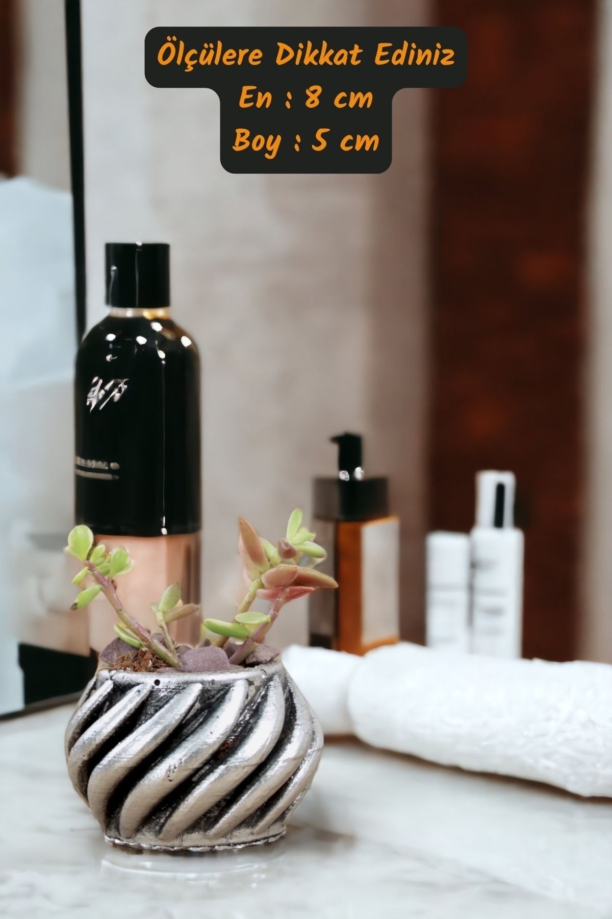 Premium Saksı Minyatür Dekoratif Kaktüs Sukulent Saksısı Model 4