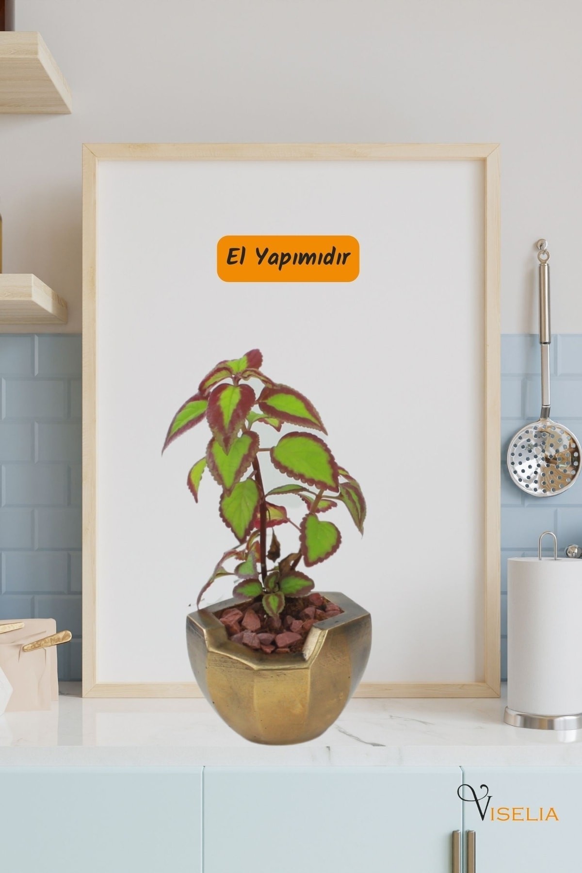 Büyük Dekoratif Saksı Altın Eskitme Çiçek Saksısı 3 Adet 3 Boy Önü Açık Model