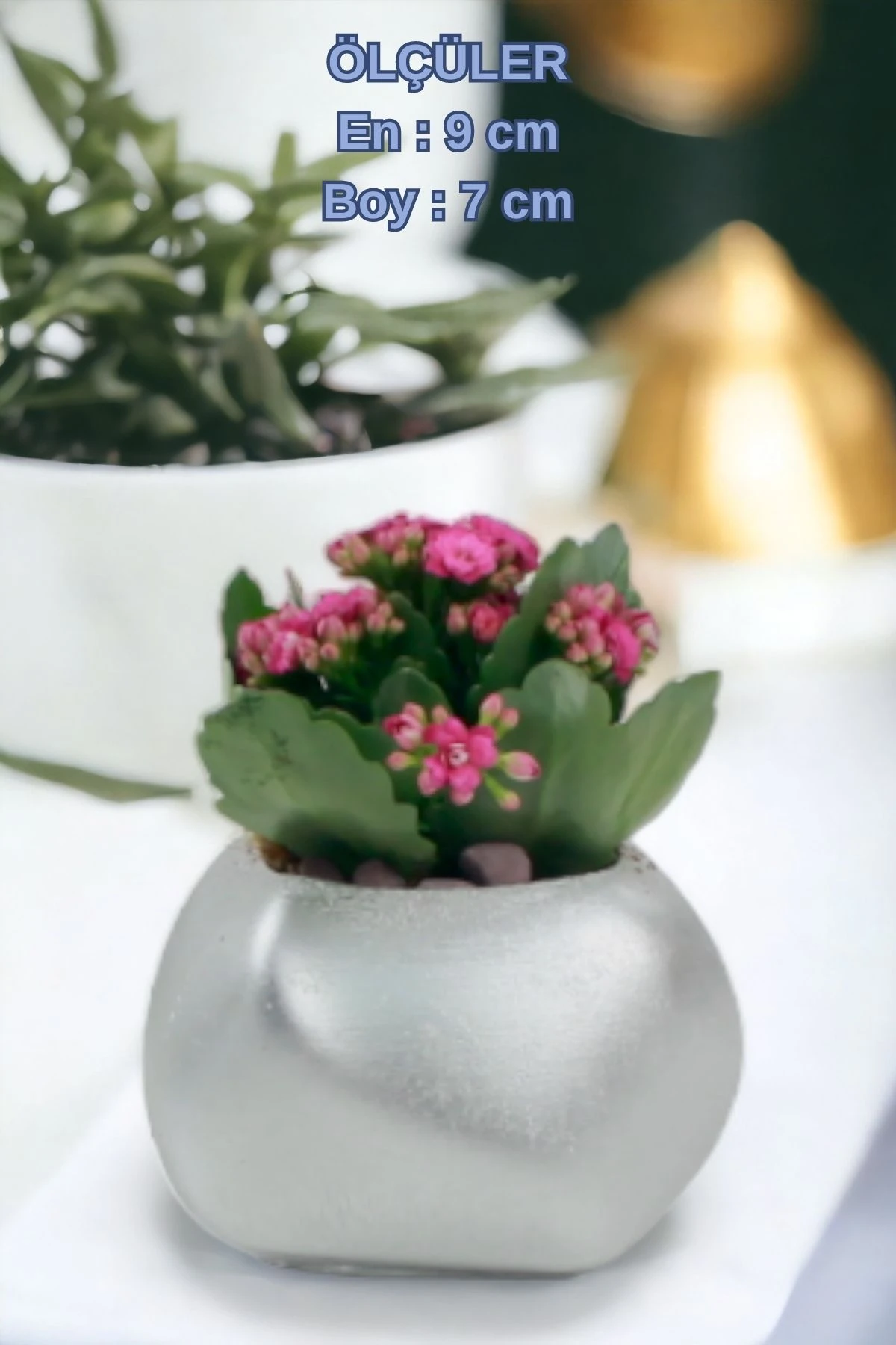 Gümüş thumbnail image