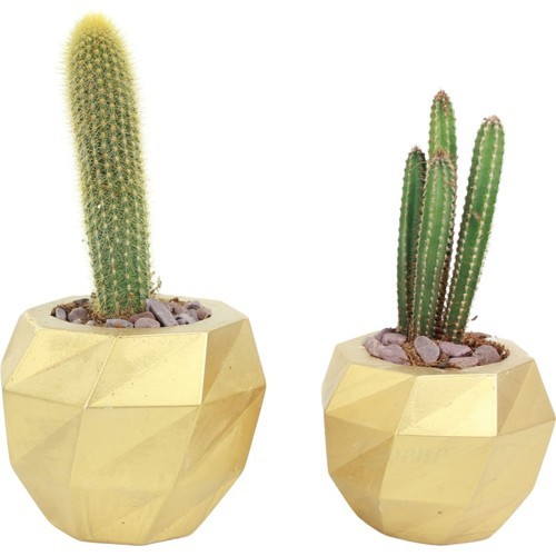 Evene Saksı Çiçek Kaktüs Saksısı Lüx 15 cm Boyalı Burgulu Desen Saksı 2li Set Çiçeklik