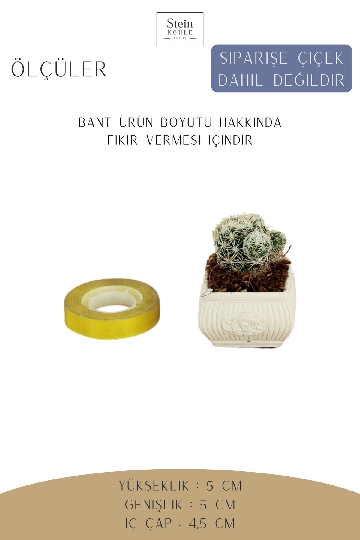 Beyaz thumbnail image