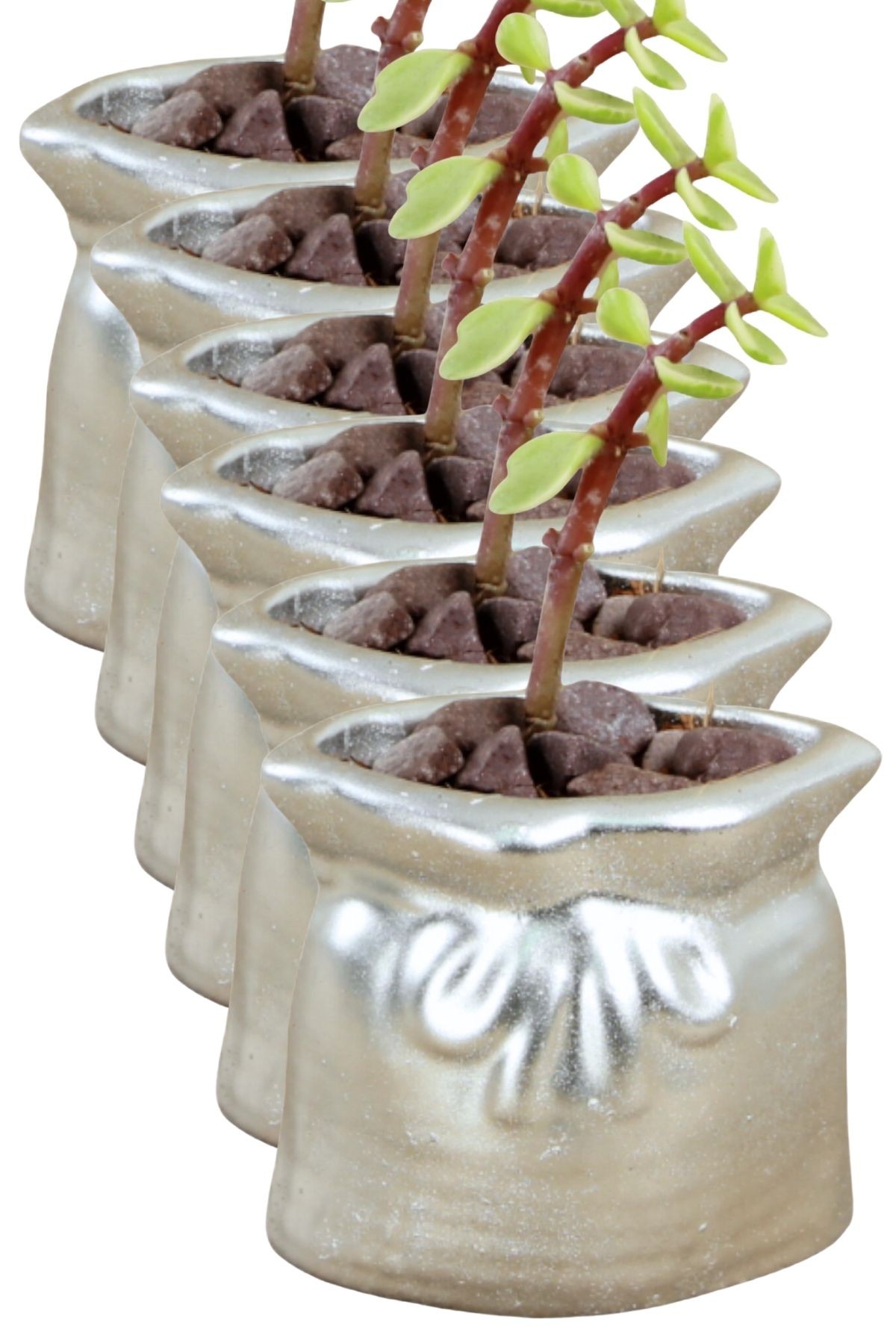 Gümüş thumbnail image