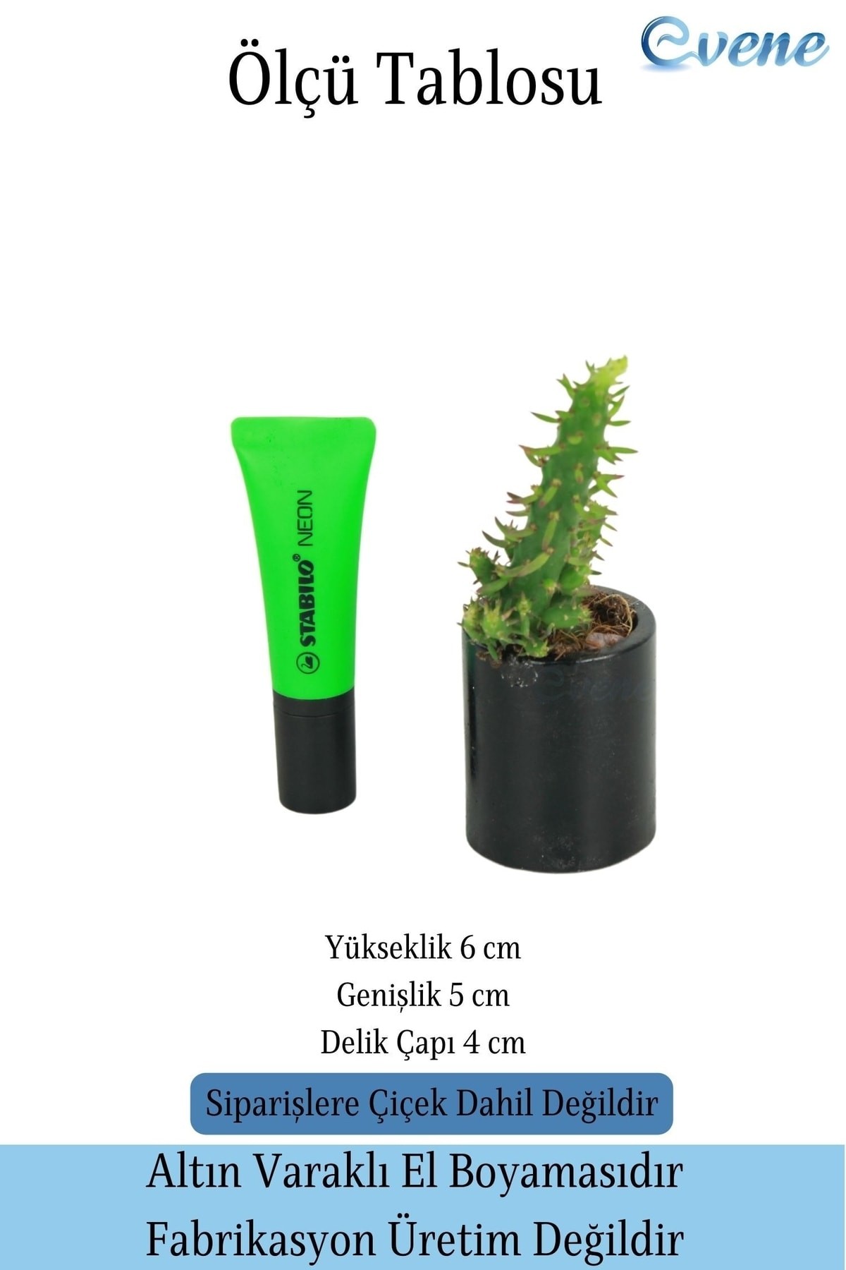 Mini Çiçek Saksı Küçük Sukulent Siyah Kaktüs Saksısı Düz Yuvarlak Model