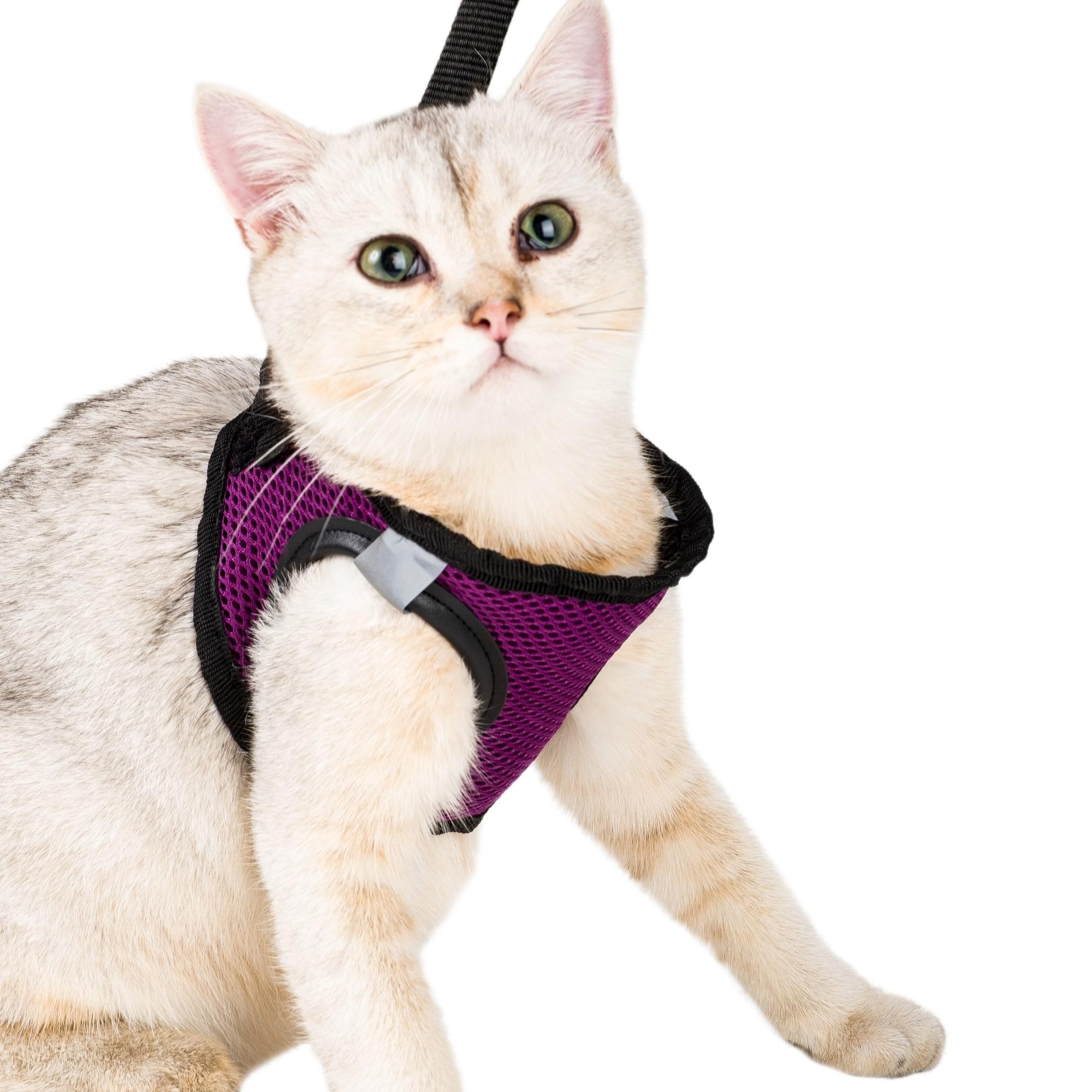 Kedi Köpek Tasması Large Beden Reflektörlü Fileli Hava Alan Kumaş Sevk Kayışlı Model Paris