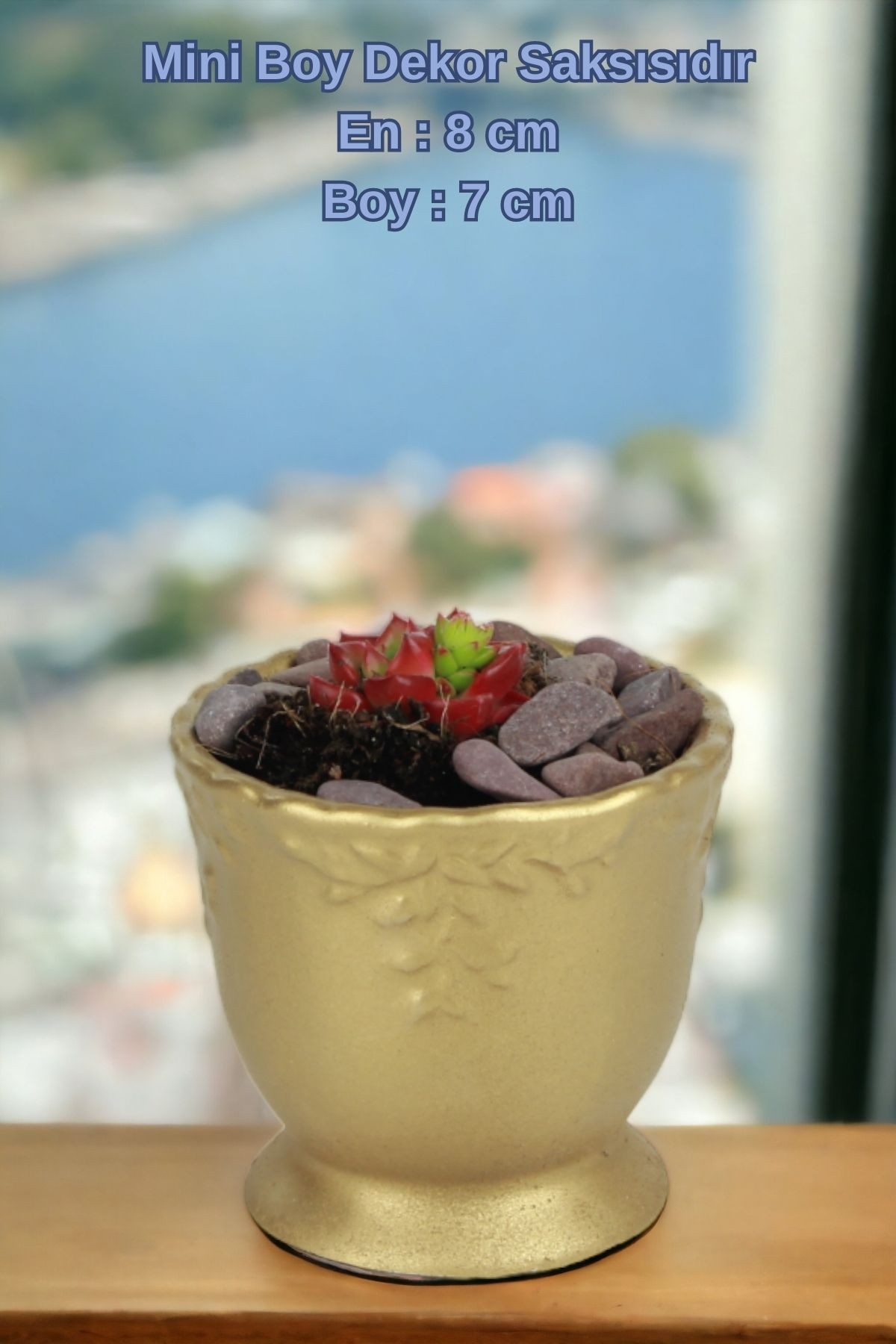 Altın thumbnail image