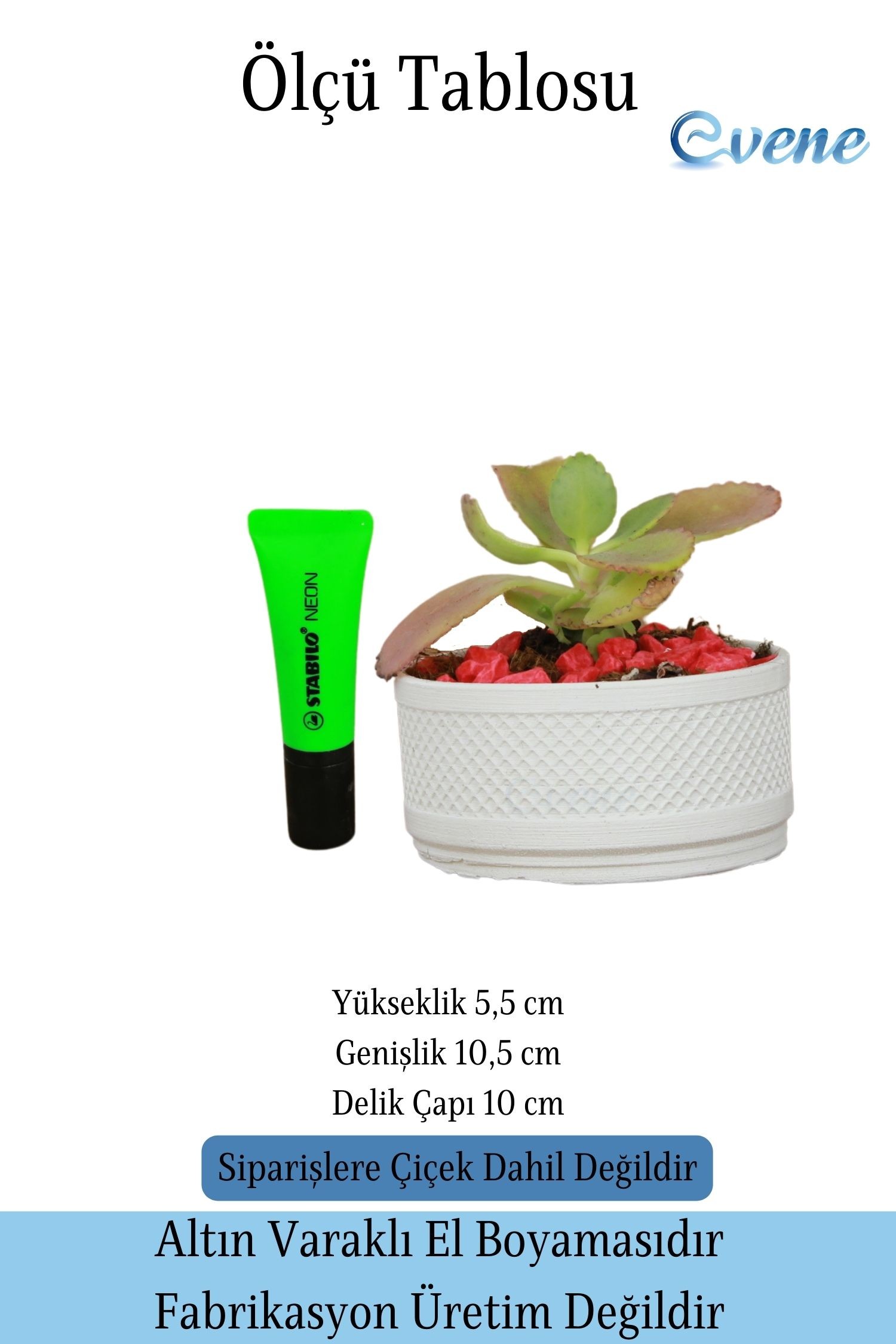 Saksı Kaktüs Saksısı Dekoratif Saksı Model 12