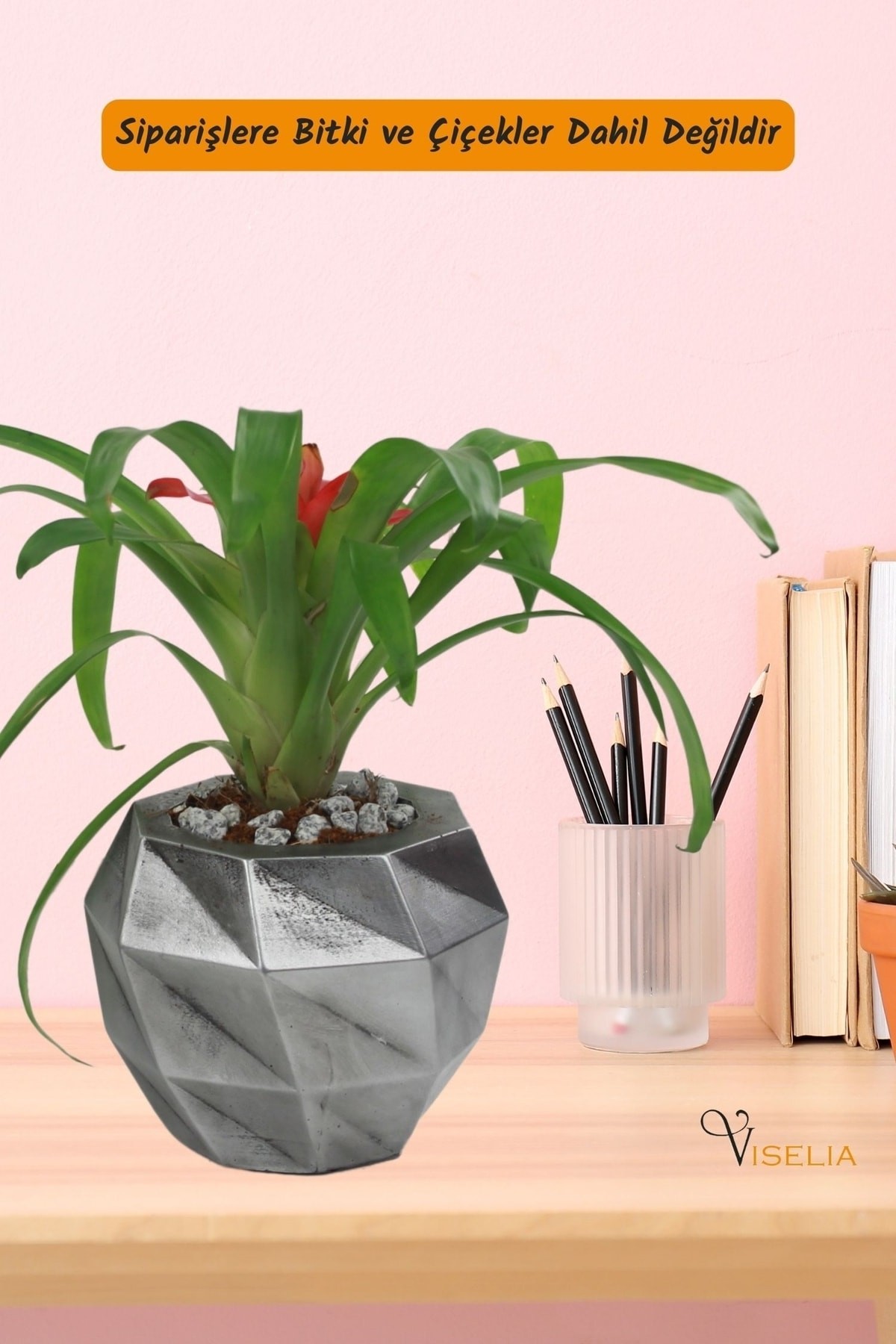 Dekoratif Saksı Gümüş Eskitme Küçük Çiçek Saksısı Dönen Poly Model