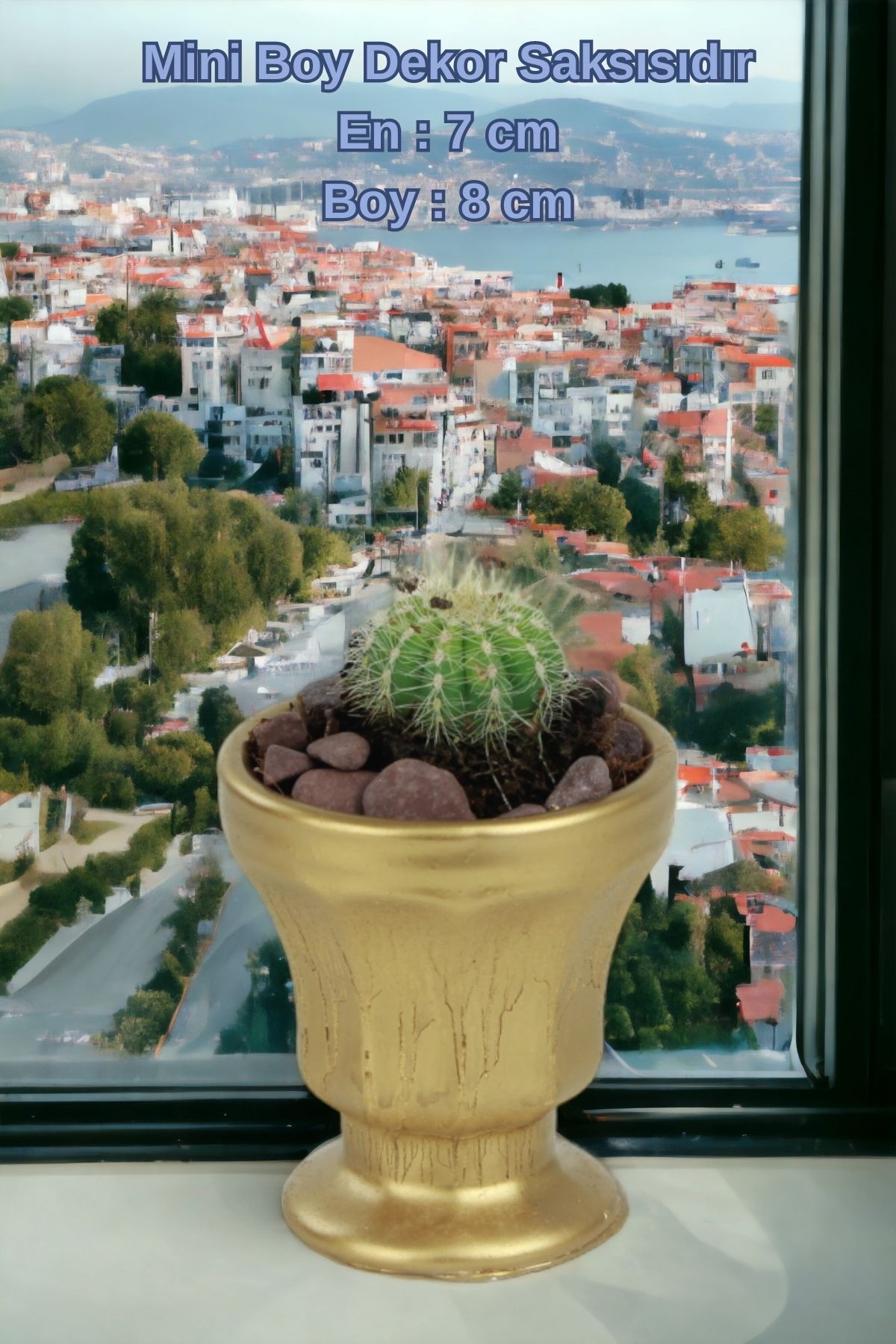 Altın thumbnail image