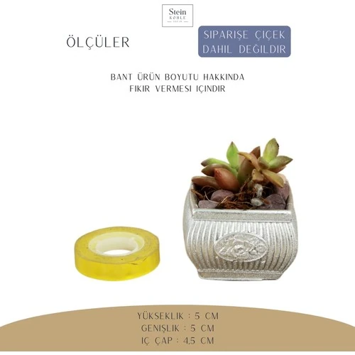 Stein Kohle Dekoratif Saksı Minik Kaktüs Saksısı Mini Çizgili Çiçekli Model